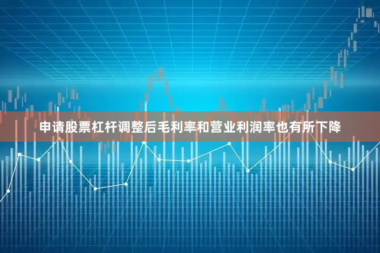 申请股票杠杆调整后毛利率和营业利润率也有所下降
