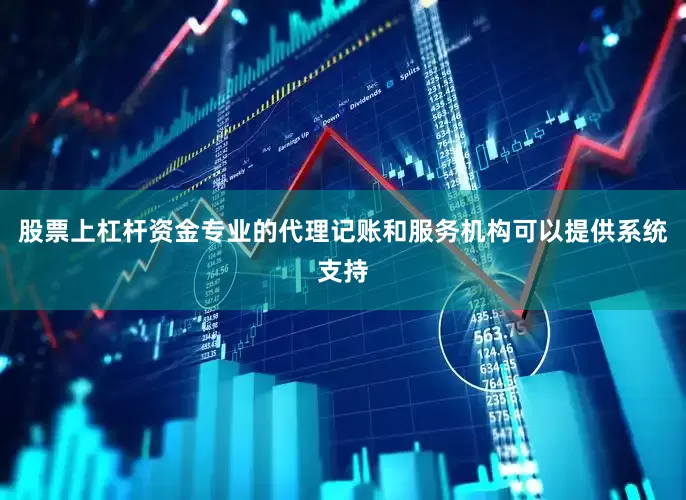 股票上杠杆资金专业的代理记账和服务机构可以提供系统支持