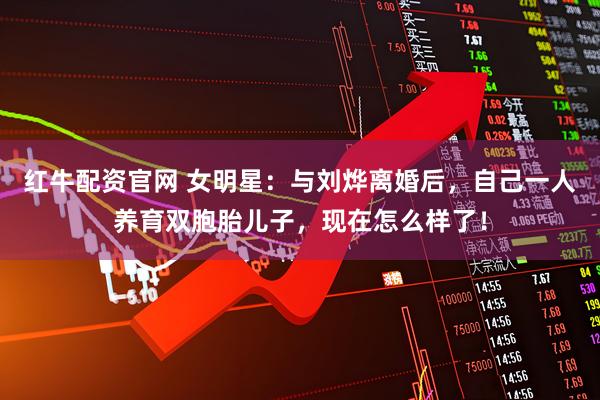 红牛配资官网 女明星：与刘烨离婚后，自己一人养育双胞胎儿子，现在怎么样了！