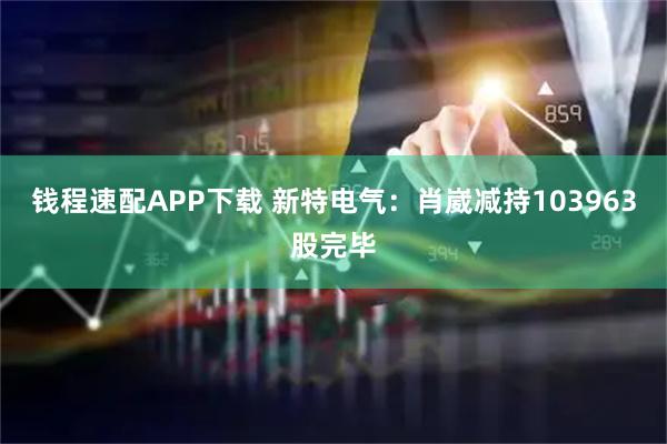 钱程速配APP下载 新特电气：肖崴减持103963股完毕