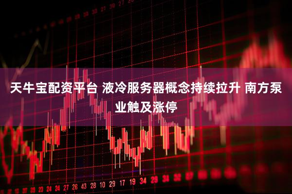 天牛宝配资平台 液冷服务器概念持续拉升 南方泵业触及涨停